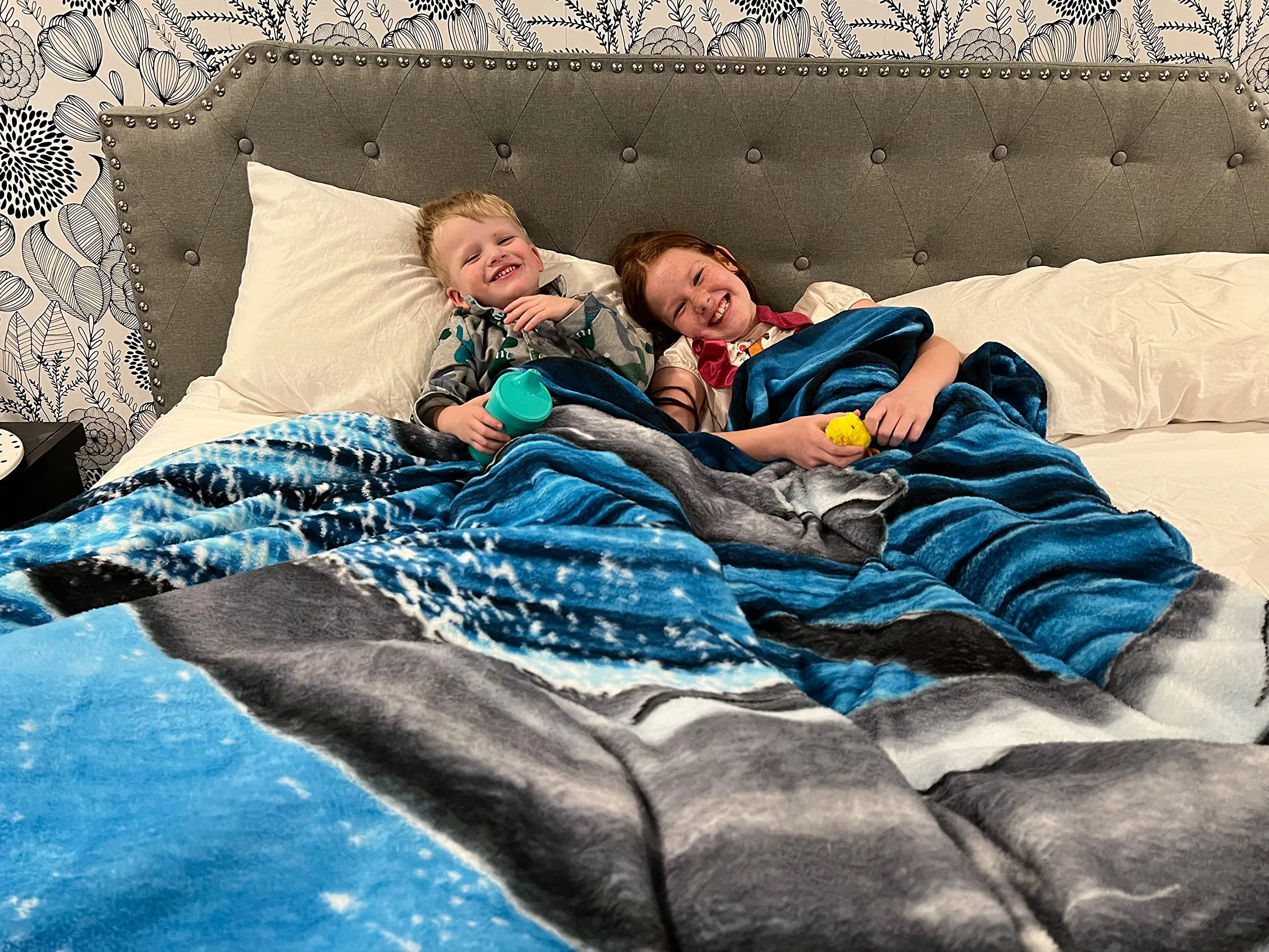 Dolphin Fleece Blanket For Bed, 75" X 90" Queen Size Dolphin Fleece Throw